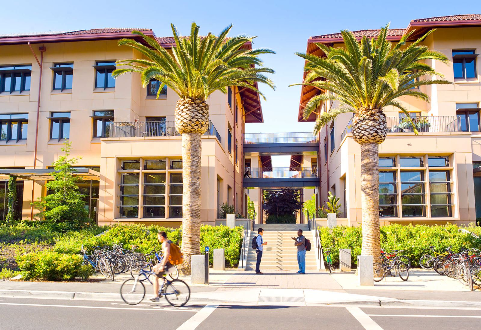 Sunny Stanford Graduate School of Business exterior with palm trees, students conversing and a biker passing by.