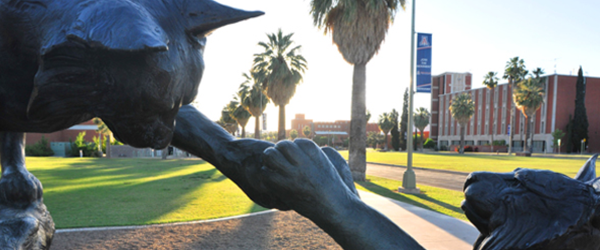 Bronze wildcat sculpture of on campus