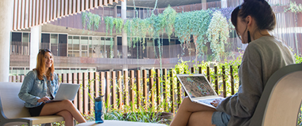 Students with laptops working in the lounge