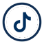 TikTok Icon