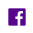 Facebook Icon