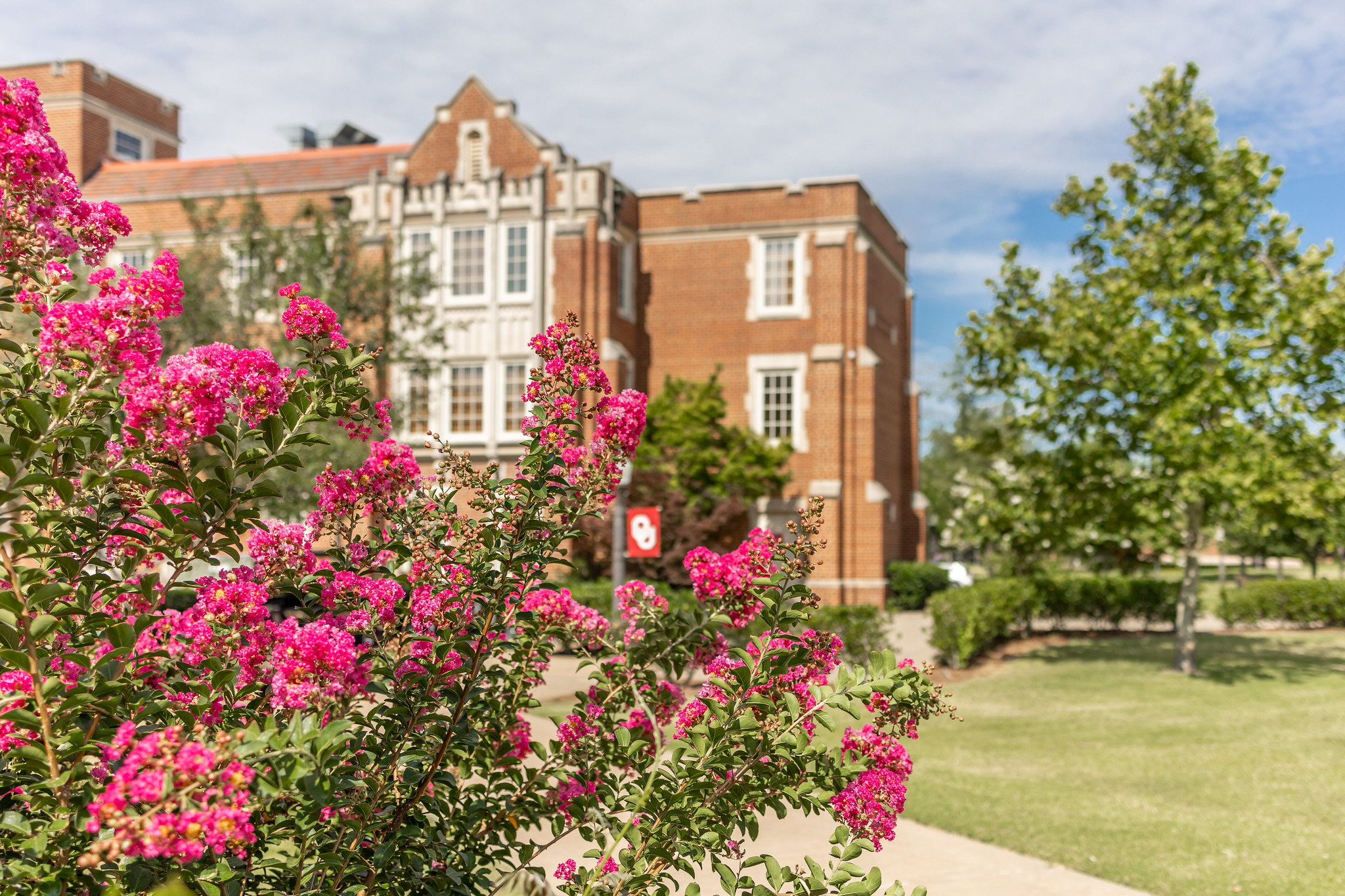 Spring Flowers on Campus