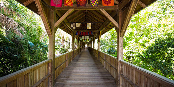 Bridge at Florida Tech