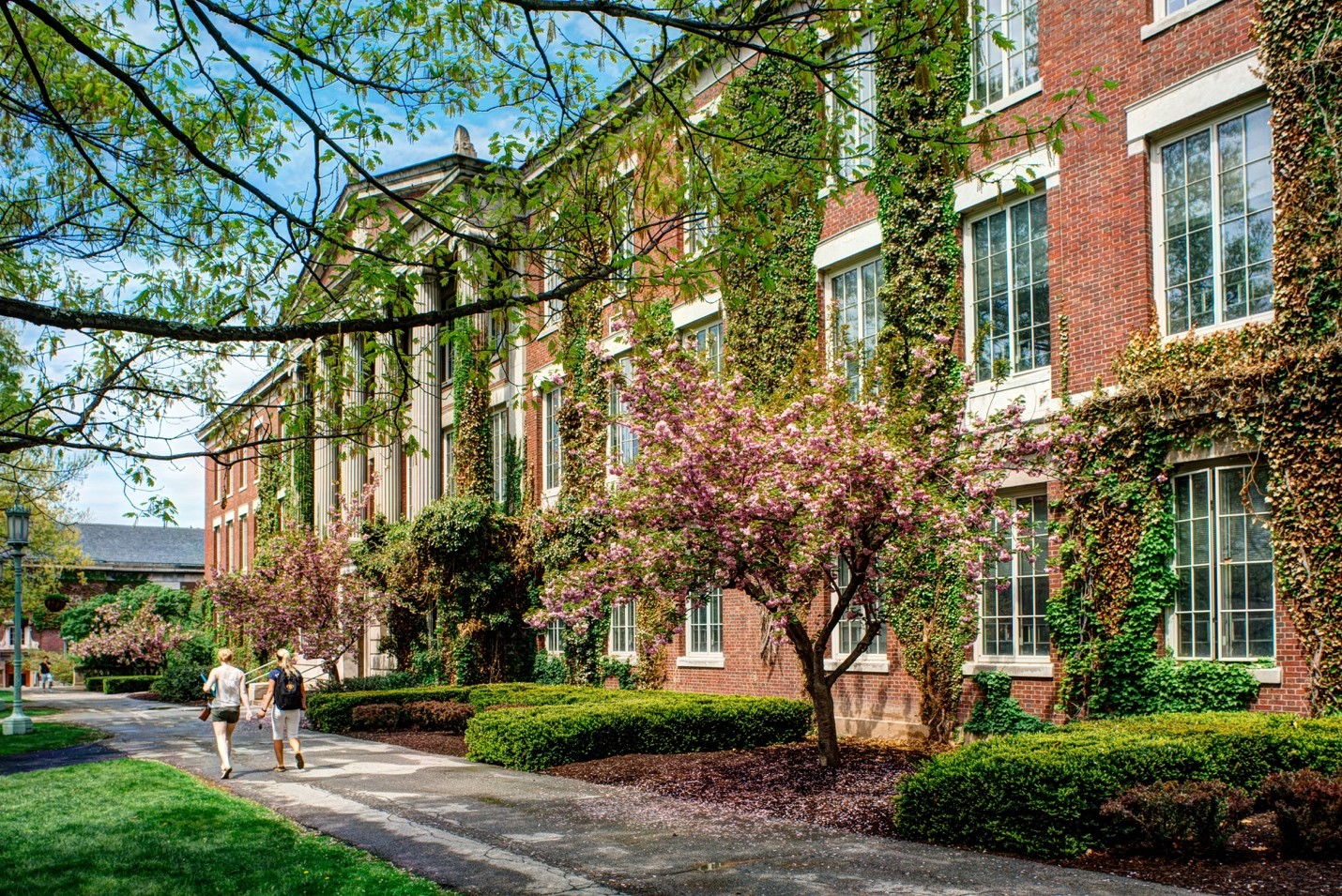 College Events & Happenings: June 2020