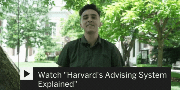 Watch: Harvard Advising System Explained